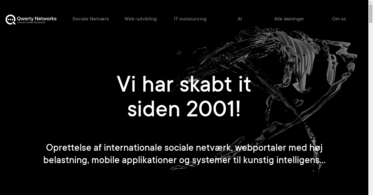 IT -selskab Qwerty Networks: oprettelse af sociale netværk