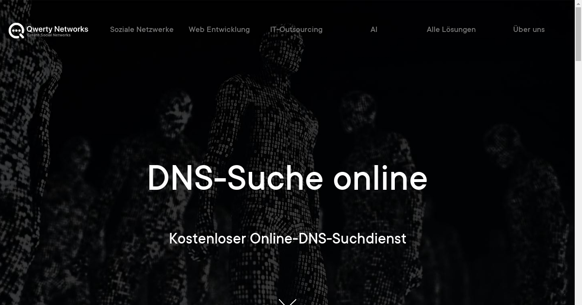 DNS-Suche online